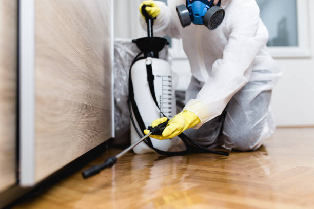 Best Best Pest Control Companies  in Cascade, IA