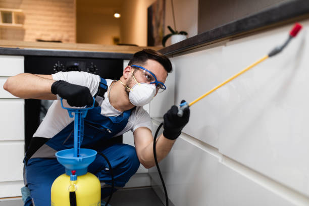 Best Mosquito Control Services  in Cascade, IA