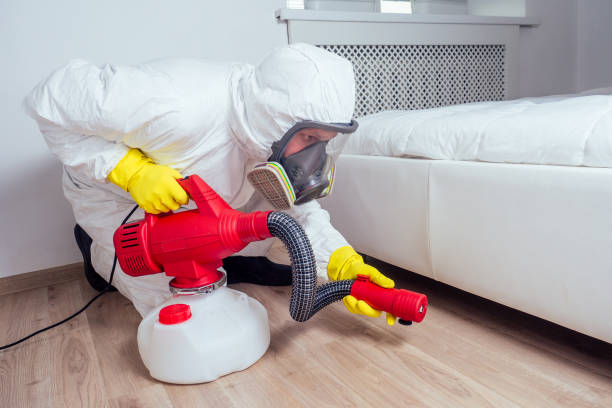 Best Pest Prevention Services  in Cascade, IA
