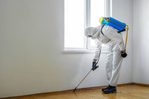 Wasp Removal Services in Cascade, IA