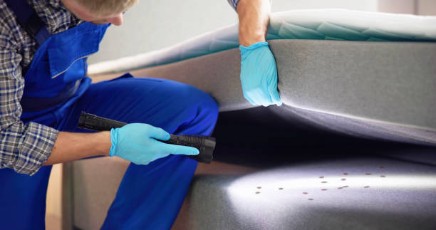 Reliable Cascade, IA Pest Control Solutions