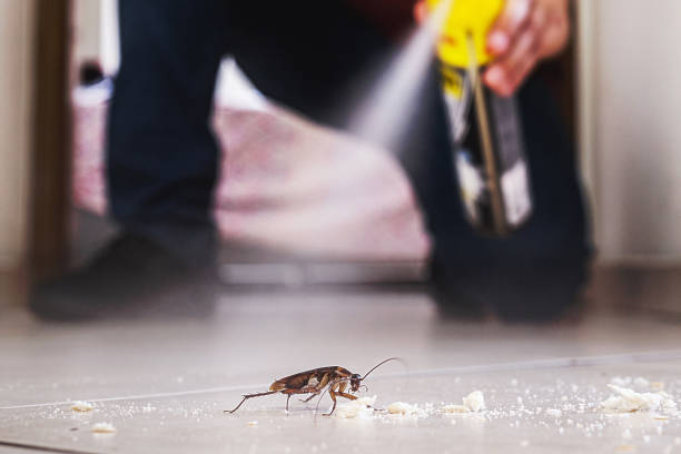 Best Wildlife Control Services  in Cascade, IA